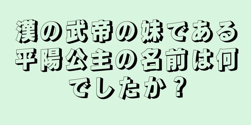 漢の武帝の妹である平陽公主の名前は何でしたか？