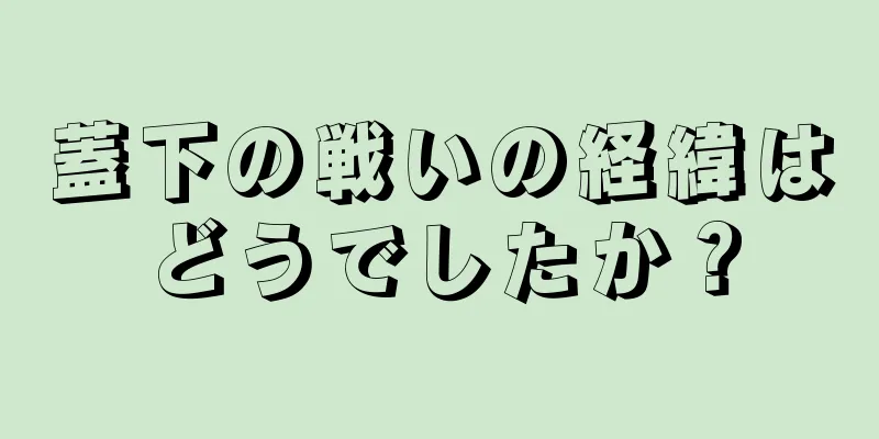 蓋下の戦いの経緯はどうでしたか？