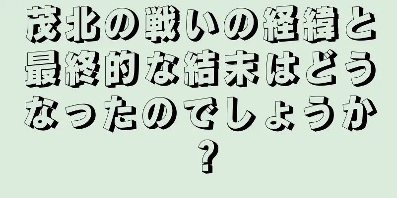 茂北の戦いの経緯と最終的な結末はどうなったのでしょうか？