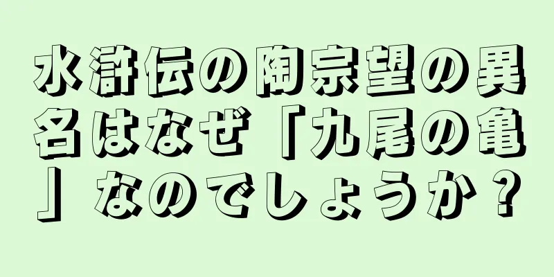 水滸伝の陶宗望の異名はなぜ「九尾の亀」なのでしょうか？