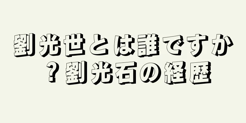 劉光世とは誰ですか？劉光石の経歴