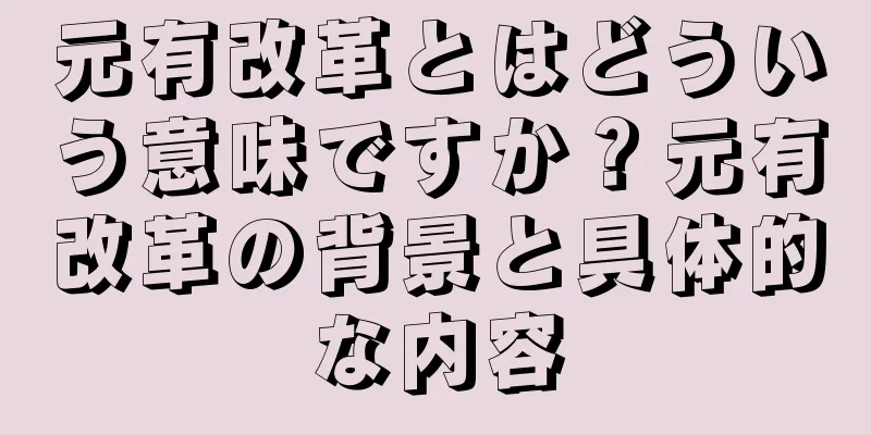 元有改革とはどういう意味ですか？元有改革の背景と具体的な内容
