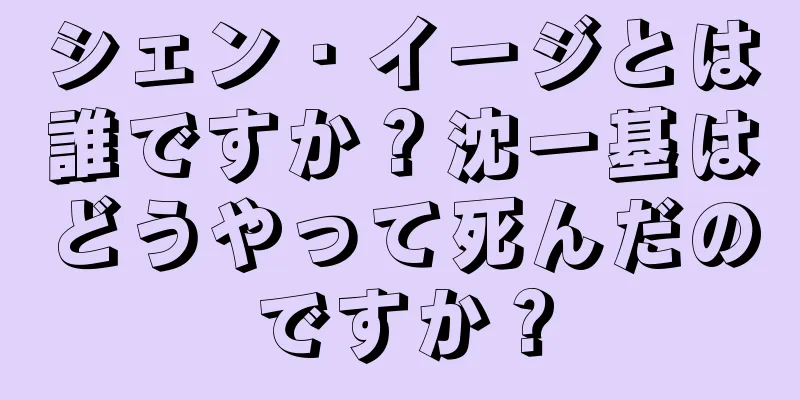シェン・イージとは誰ですか？沈一基はどうやって死んだのですか？