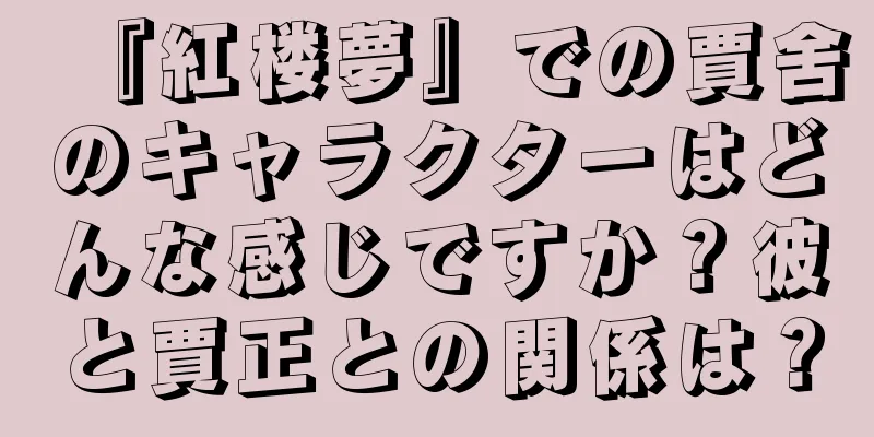 『紅楼夢』での賈舍のキャラクターはどんな感じですか？彼と賈正との関係は？