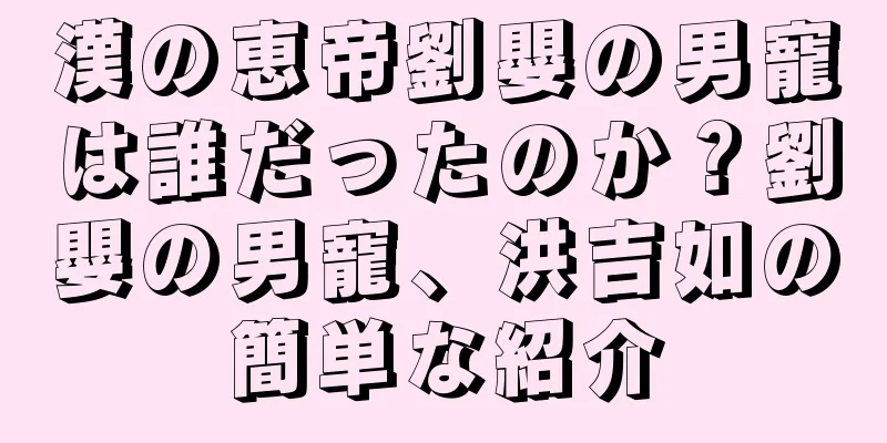 漢の恵帝劉嬰の男寵は誰だったのか？劉嬰の男寵、洪吉如の簡単な紹介