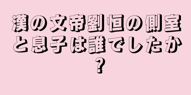 漢の文帝劉恒の側室と息子は誰でしたか？