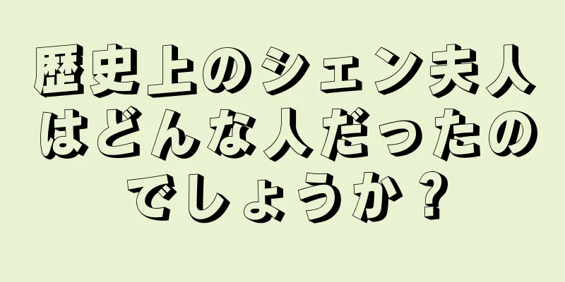 歴史上のシェン夫人はどんな人だったのでしょうか？