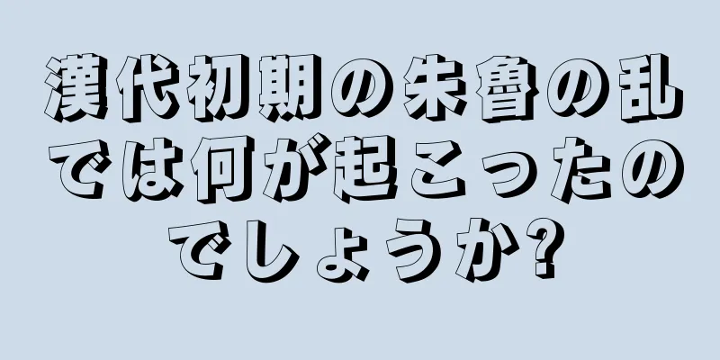漢代初期の朱魯の乱では何が起こったのでしょうか?