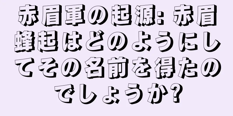 赤眉軍の起源: 赤眉蜂起はどのようにしてその名前を得たのでしょうか?