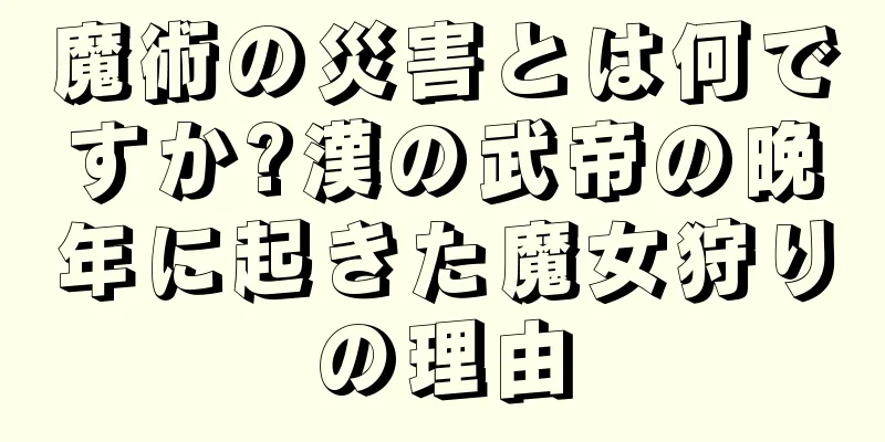 魔術の災害とは何ですか?漢の武帝の晩年に起きた魔女狩りの理由