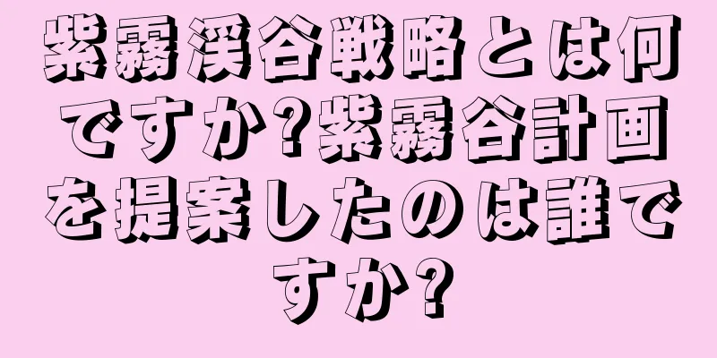 紫霧渓谷戦略とは何ですか?紫霧谷計画を提案したのは誰ですか?