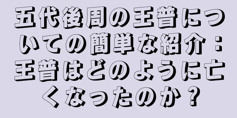 五代後周の王普についての簡単な紹介：王普はどのように亡くなったのか？