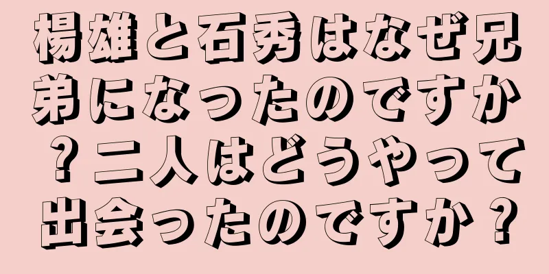 楊雄と石秀はなぜ兄弟になったのですか？二人はどうやって出会ったのですか？