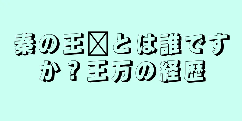 秦の王琬とは誰ですか？王万の経歴