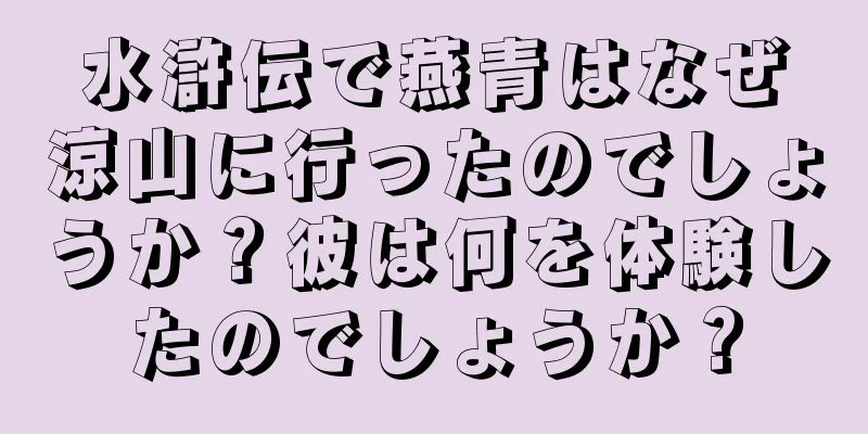 水滸伝で燕青はなぜ涼山に行ったのでしょうか？彼は何を体験したのでしょうか？