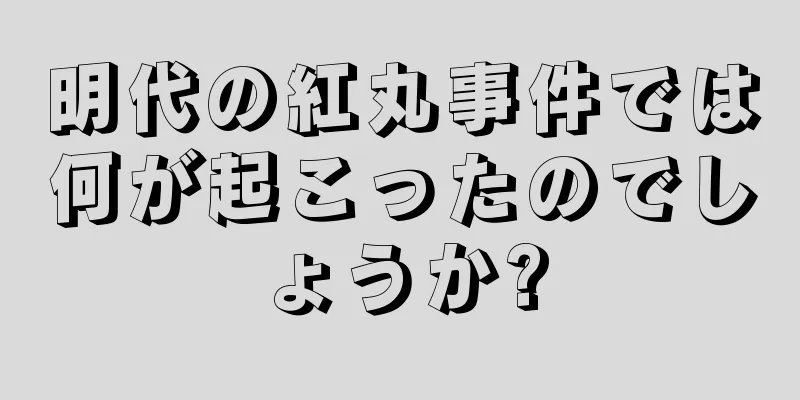 明代の紅丸事件では何が起こったのでしょうか?