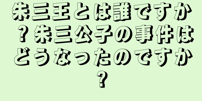 朱三王とは誰ですか？朱三公子の事件はどうなったのですか?