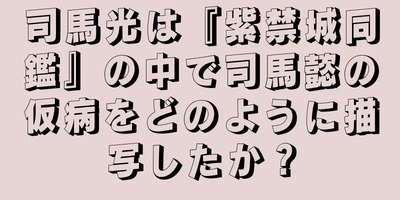 司馬光は『紫禁城同鑑』の中で司馬懿の仮病をどのように描写したか？