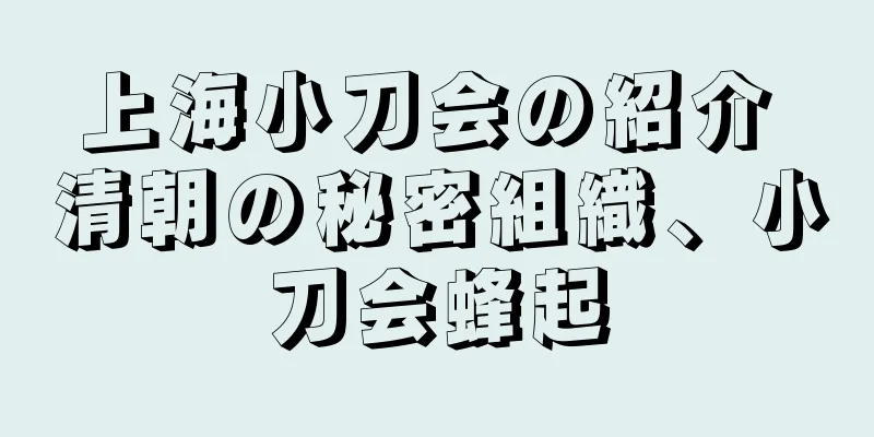 上海小刀会の紹介 清朝の秘密組織、小刀会蜂起