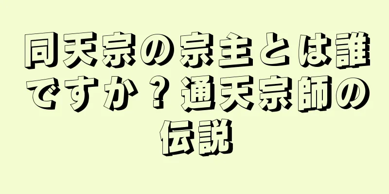 同天宗の宗主とは誰ですか？通天宗師の伝説