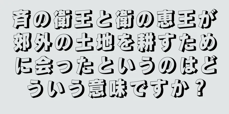 斉の衛王と衛の恵王が郊外の土地を耕すために会ったというのはどういう意味ですか？