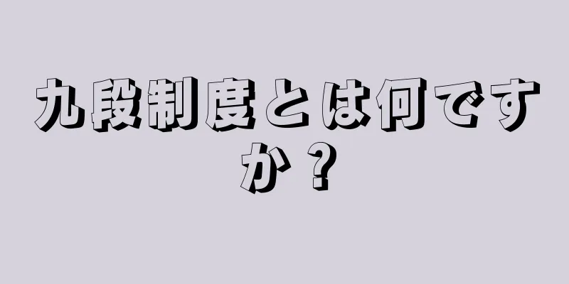 九段制度とは何ですか？