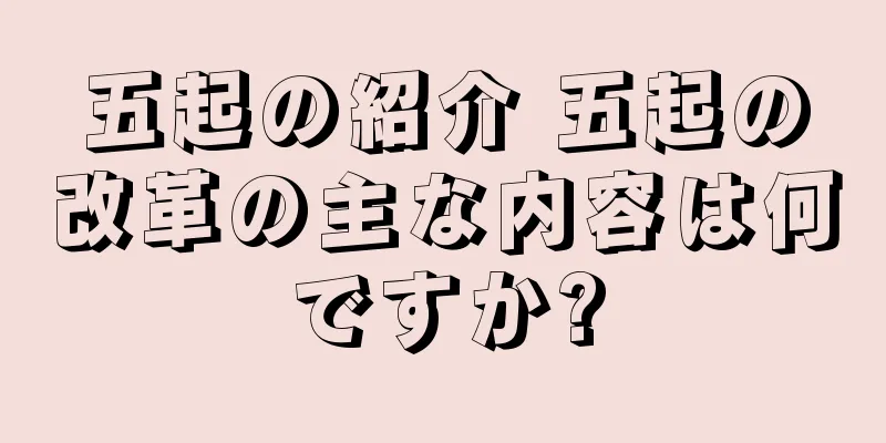 五起の紹介 五起の改革の主な内容は何ですか?