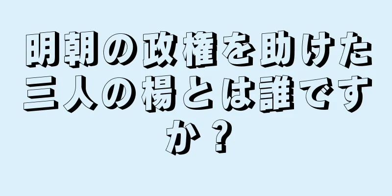 明朝の政権を助けた三人の楊とは誰ですか？