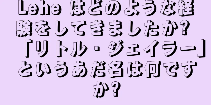 Lehe はどのような経験をしてきましたか? 「リトル・ジェイラー」というあだ名は何ですか?