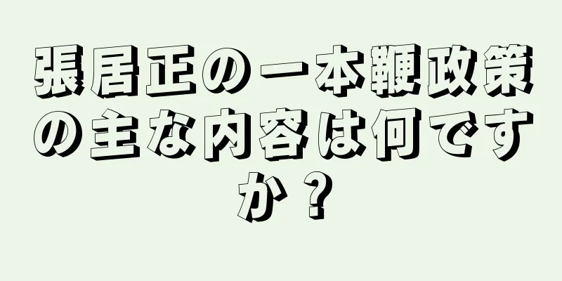張居正の一本鞭政策の主な内容は何ですか？