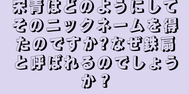 宋青はどのようにしてそのニックネームを得たのですか?なぜ鉄扇と呼ばれるのでしょうか？