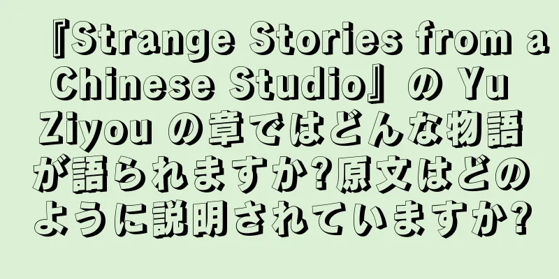 『Strange Stories from a Chinese Studio』の Yu Ziyou の章ではどんな物語が語られますか?原文はどのように説明されていますか?
