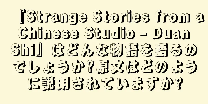 『Strange Stories from a Chinese Studio - Duan Shi』はどんな物語を語るのでしょうか?原文はどのように説明されていますか?