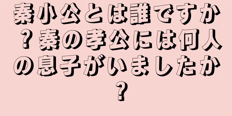 秦小公とは誰ですか？秦の孝公には何人の息子がいましたか？