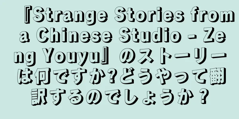 『Strange Stories from a Chinese Studio - Zeng Youyu』のストーリーは何ですか?どうやって翻訳するのでしょうか？