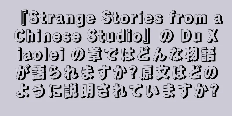 『Strange Stories from a Chinese Studio』の Du Xiaolei の章ではどんな物語が語られますか?原文はどのように説明されていますか?