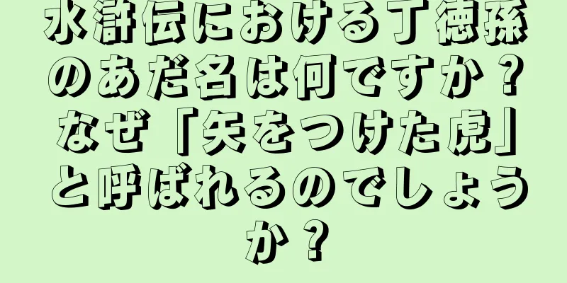 水滸伝における丁徳孫のあだ名は何ですか？なぜ「矢をつけた虎」と呼ばれるのでしょうか？