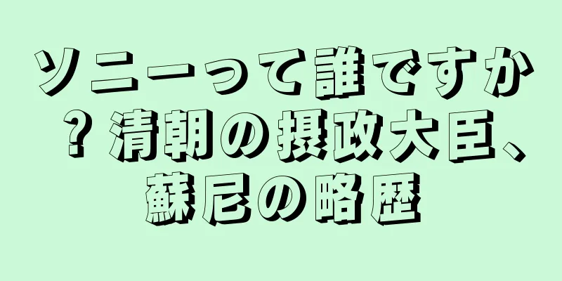 ソニーって誰ですか？清朝の摂政大臣、蘇尼の略歴