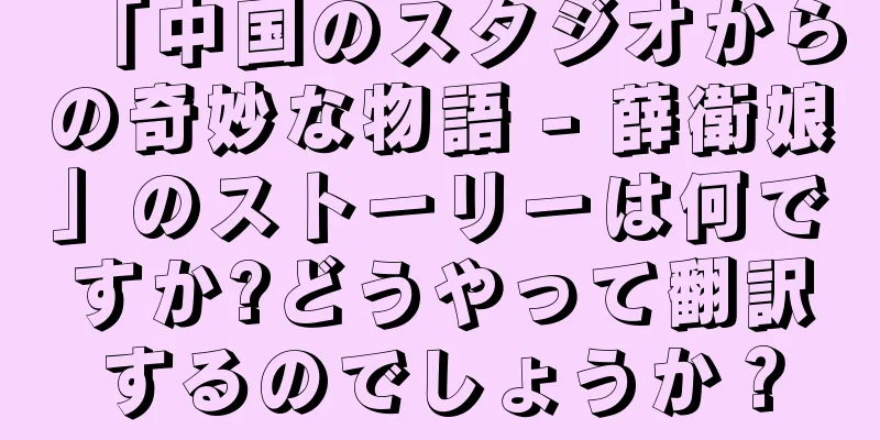 「中国のスタジオからの奇妙な物語 - 薛衛娘」のストーリーは何ですか?どうやって翻訳するのでしょうか？