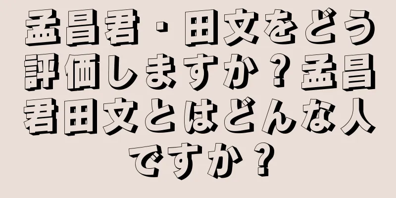 孟昌君・田文をどう評価しますか？孟昌君田文とはどんな人ですか？
