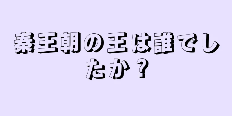 秦王朝の王は誰でしたか？