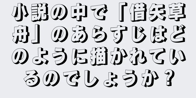 小説の中で「借矢草舟」のあらすじはどのように描かれているのでしょうか？