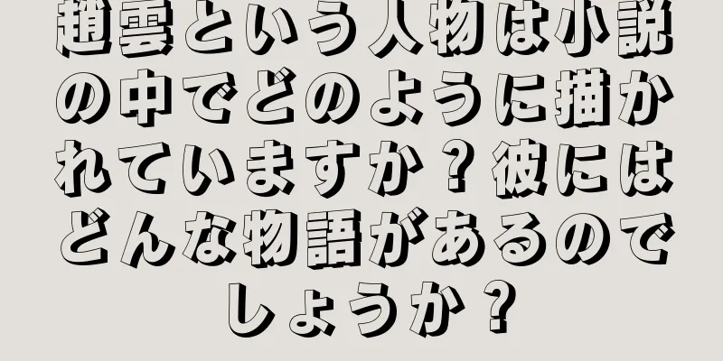 趙雲という人物は小説の中でどのように描かれていますか？彼にはどんな物語があるのでしょうか？