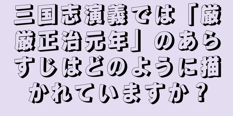 三国志演義では「厳厳正治元年」のあらすじはどのように描かれていますか？
