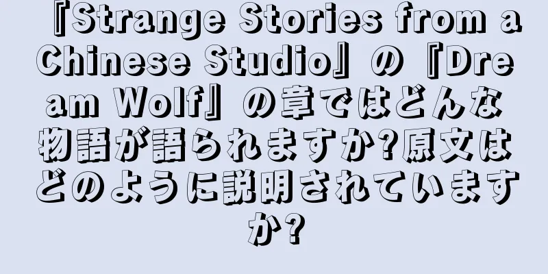 『Strange Stories from a Chinese Studio』の『Dream Wolf』の章ではどんな物語が語られますか?原文はどのように説明されていますか?