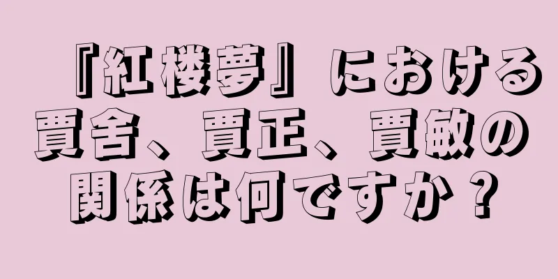 『紅楼夢』における賈舍、賈正、賈敏の関係は何ですか？
