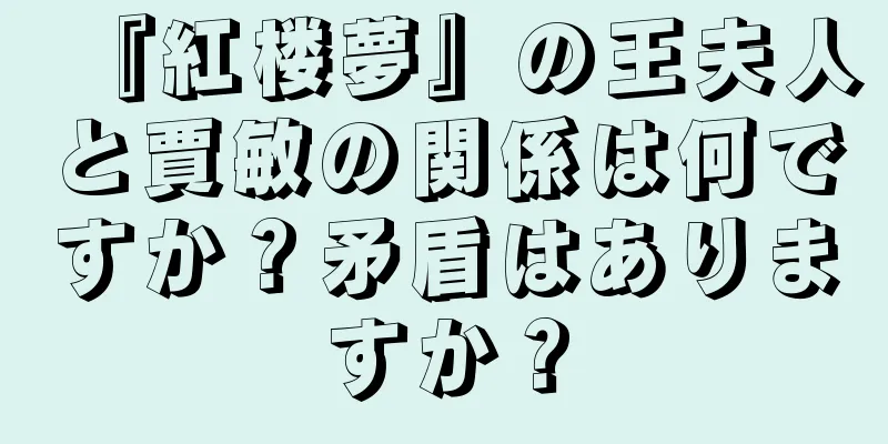 『紅楼夢』の王夫人と賈敏の関係は何ですか？矛盾はありますか？