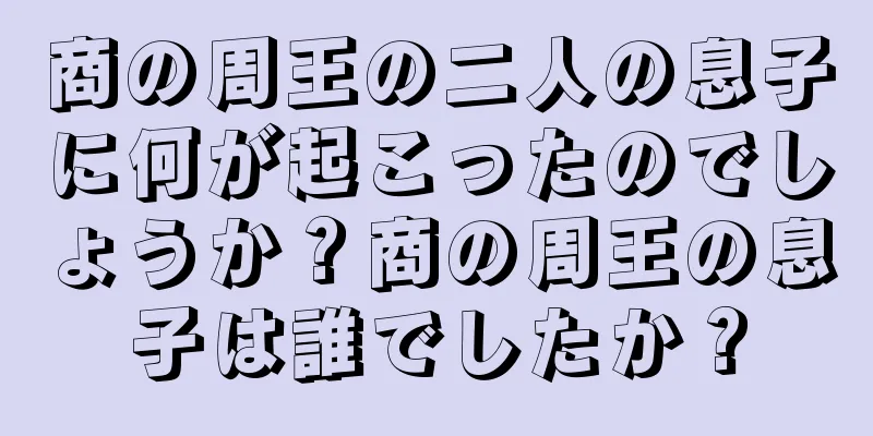 商の周王の二人の息子に何が起こったのでしょうか？商の周王の息子は誰でしたか？