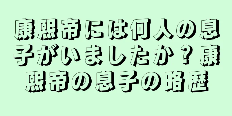 康熙帝には何人の息子がいましたか？康熙帝の息子の略歴