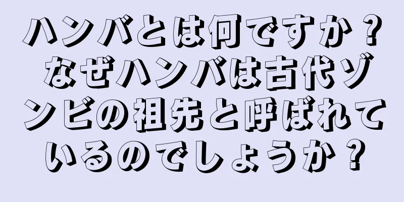 ハンバとは何ですか？ なぜハンバは古代ゾンビの祖先と呼ばれているのでしょうか？